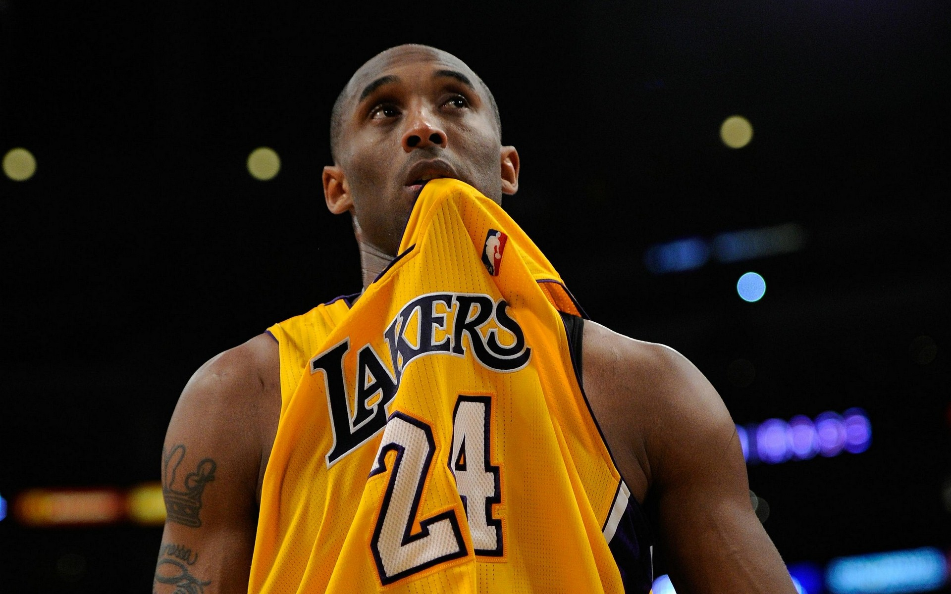 有望提升这 有望提升这