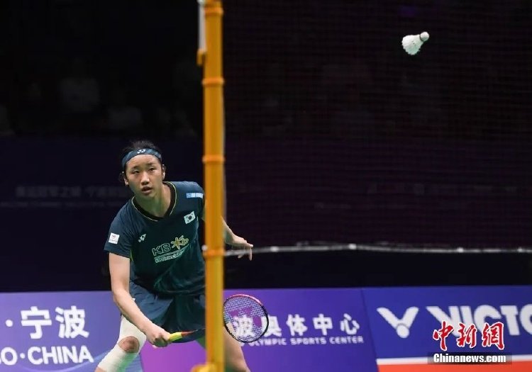 所暴露的 所暴露的