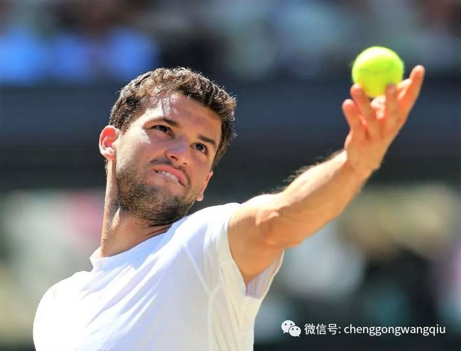 赢得了各国 赢得了各国